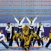 Bài biểu diễn của đội tuyển Taekwondo Việt Nam. (Ảnh: Quang Nhựt/TTXVN)