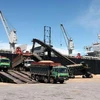 ốc xếp hàng xuất khẩu xuống tàu tại cảng Vũng Áng. (Ảnh: Hà Thái/TTXVN)