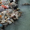 Con kênh bị ô nhiễm nghiêm trọng do rác thải, tại Bắc Kinh ngày 16/3. (Nguồn: AFP/TTXVN)