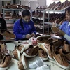 Sản xuất giày xuất khẩu tại công ty TNHH Hóa dệt Hà Tây, Hà Nội. (Ảnh: Trần Việt/Vietnam+)