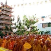 Đại lễ Phật đản 2012- Phật lịch 2556 tại TP.HCM. (Ảnh: Thế Anh/TTXVN)