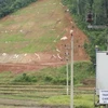 Cỏ lạ được trồng trên đường cao tốc Nội Bài-Lào Cai. (Nguồn: Vietnamnet)