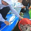 Lễ thả cá tại khu vực Búng Bình Thiên (An Phú, An Giang). (Ảnh: Vương Thoại Trung/TTXVN)