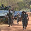 Binh sỹ thuộc FOMAC kiểm soát an ninh tại vị trí gần Damara ngày 2/1/2013. (Nguồn: AFP/TTXVN)