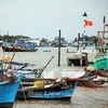 Tàu cá tại cửa biển Gành Hào. (Nguồn: baobaclieu.vn)