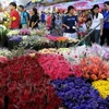 Hoa hồng được bày bán tại thủ đô Manila, Philippines. (Nguồn: AFP/TTXVN)