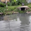 Những nhà máy bên sông Đa Độ thường xuyên xả nước thải chưa qua xử lý ra sông. (Ảnh: Hoàng Ngọc/Vietnam+)