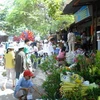 Cây cảnh chợ Hàng. (Nguồn: vicongdong.vn)