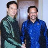 Thủ tướng Chính phủ Nguyễn Tấn Dũng hội kiến với Quốc vương Brunei Haji Sultan Hassanal Bolkiah (Ảnh: Đức Tám/TTXVN)
