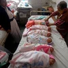 Nhân viên y tế Ấn Độ cho trẻ sơ sinh uống vắcxin phòng bại liệt tại một bệnh viện ở Agartala (Ấn Độ) ngày 20/1/2013. (Nguồn: AFP/TTXVN .)