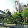 Singapore là một trong những thành phố có mật độ tập trung dân cư cao (Nguồn: TODAY)