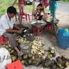Quả thốt nốt dùng để làm đường. (Nguồn: VH/Vietnam+)