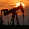 Trữ lượng dầu, khí đốt Mỹ tăng kỷ lục trong năm 2011