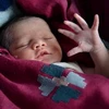Một bé sơ sinh tại bệnh viện ở bang Amritsar (Ấn Độ). (Nguồn: AFP/TTXVN)