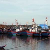 Nhiều tàu thuyền của ngư dân Quảng Ngãi đã về neo đậu an toàn tại khu neo đậu An Hòa, xã Tam Quan, huyện Núi Thành. (Ảnh: Đoàn Hữu Trung/TTXVN)