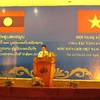 Bộ trưởng Ngoại giao Phạm Bình Minh phát biểu tại hội nghị. (Ảnh: Nguyễn Văn Nhật/TTXVN)