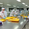 Chế biến thực phẩm tại Công ty CP Chế biến xuất khẩu Cầu Tre (Tổng Công ty Thương mại Sài Gòn). (Ảnh: Thanh Vũ/TTXVN)