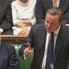 Thủ tướng Anh David Cameron (phải). (Nguồn: AFP/TTXVN)