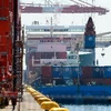 Tàu chở container hàng cập cảng Tokyo ngày 19/9. (Nguồn: AFP/TTXVN)
