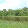 Hồ nước trong rừng khộp mùa mưa. (Nguồn: wikipedia.org)