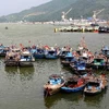 Tàu thuyền của ngư dân Đà Nẵng vào neo đậu an toàn. (Ảnh: Trần Lê Lâm/TTXVN)
