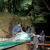 Nhân viên cứu hộ đang tìm cách cứu thợ mỏ bị mắc kẹt trong một vụ tai nạn ở tỉnh Sơn Tây, Trung Quốc vào tháng 8-2009. (Nguồn: Xinhua)