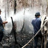 Tập trung dập lửa trong một vụ cháy rừng. Ảnh minh họa (Nguồn: Lê Huy Hải/TTXVN)