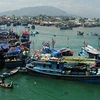 Indonesia cần sự hợp tác về tàu cá, tài công và thuyên viên của Việt Nam để đánh bắt hải sản. Ảnh minh họa. (Nguồn: Internet)