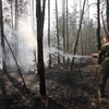 Nhân viên cứu hỏa phun nước dập lửa đám cháy rừng ở ngoại ô Voronezh, Nga. (Nguồn: AFP/TTXVN)