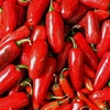 Chất capsaicin trong ớt đỏ giúp giảm chứng huyết áp cao. (Nguồn: Internet)