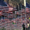 Gần 3.000 lá cờ được cắm tại Trường Đại học Pepperdine ở Malibu(Mỹ) để tưởng nhớ các nạn nhân vụ khủng bố 11/9. (Nguồn:AFP/TTXVN)