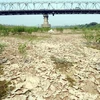 Sông Hồng cạn trơ đáy tại lạch Quýt, Hà Nội.( Ảnh: Trần Thanh Giang/TTXVN)