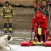 Giải cứu một chú chó bị mắc kẹt trên băng. Ảnh minh họa. (Nguồn: Internet)