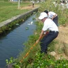 Thanh niên tình nguyện xử lý rác thải gây ô nhiễm nguồn nước. (Ảnh: Hoàng Lâm/TTXVN)