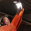 Thay bóng đèn sợi đốt bằng bóng đèn Compact để tiết kiệm điện. (Ảnh minh họa: Ngọc Hà/TTXVN)