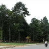 Những tán cây cổ thụ không khác gì rừng giữa phố Trà Vinh. (Nguồn: Internet)