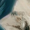 Dòng chữ tên của tỷ phú Hamad trên đảo Al Futaisi có thể nhìn thấy từ vũ trụ. (Nguồn: Internet)