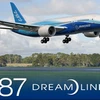 Máy bay Boeing Dreamliner 787. (Nguồn: Internet)