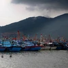Tàu thuyền ngư dân neo đậu tránh bão tại âu thuyền Thọ Quang, thành phố Đà Nẵng. (Ảnh: An Đăng/TTXVN)