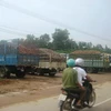 Các xe tải sắn nằm chờ để nhập hàng. (Ảnh: Nguyễn Sơn/Vietnam+)