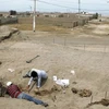 Các nhà khảo cổ học Peru khai quật khu mộ cổ trẻ em 800 năm tuổi tại Chimú - Chanchan hồi tháng 9. (Nguồn: Internet)
