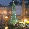 Cây Giáng Sinh 2010 tại Vatican đến từ tỉnh Bolzano, Italy, cao 34m, đường kính 7m, nặng 5 tấn và được 94 tuổi. (Nguồn: Internet)