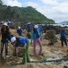 Dọn sạch bãi biển trong khu bảo tồn biển. (Nguồn: Internet) 