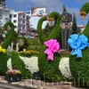 5 con thiên nga khổng lồ bằng cây cảnh và hoa tươi. (Nguồn: baolamdong.vn)