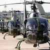 Các trực thăng Gazelle của quân đội Anh. (Nguồn: Mod.uk)