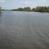 Sông Trẹm - Cà Mau. (Nguồn: Internet)