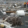 Xốp trắng và phao đen trải dài hàng chục cây số trên bờ biển đảo Monague, Alaska. (Ảnh: GulfofAlaskaKeeper)