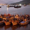 Các phương tiện tàu hàng, tàu cá neo đậu tránh trú bão số 8 tại khu vực vịnh Mân Quang, Đà Nẵng. (Ảnh: Trần Lê Lâm/TTXVN)
