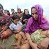 Những người Rohingya tị nạn trên đường đến Bangladesh. (Ảnh: Reuters)