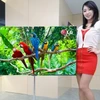 Mẫu TV HDTV OLED 55-inch của LG. (Nguồn: gradly.net)